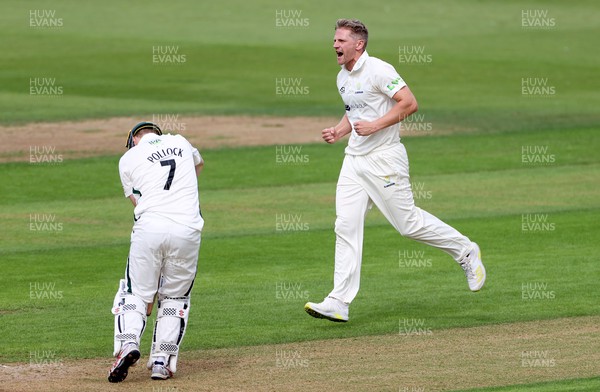 050922 - Glamorgan v Worcestershire - LV= County Championship, Division Two - Timm Van Der Gugten of Glamorgan celebrates as Ed Pollock is caught by Chris Cooke