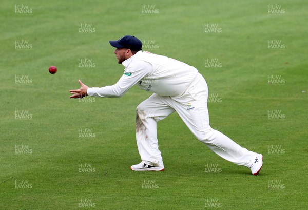 060922 - Glamorgan v Worcestershire - LV= County Championship, Division Two - Billy Root of Glamorgan catches out Joe Leach
