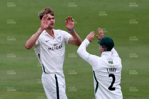 060922 - Glamorgan v Worcestershire - LV= County Championship, Division Two - Ben Gibbon celebrates after David Lloyd of Glamorgan is caught by Jack Haynes
