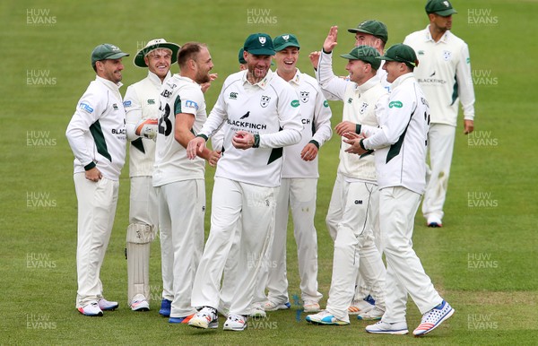 140417 - Glamorgan v Worcestershire - Specsavers County Championship Division Two - John Hastings of Worcestershire celebrates with team mates after catching Colin Ingram of Glamorgan on his first ball