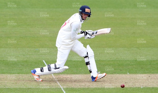 140417 - Glamorgan v Worcestershire - Specsavers County Championship Division Two - Harry Podmore of Glamorgan batting