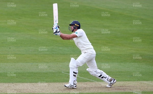 140417 - Glamorgan v Worcestershire - Specsavers County Championship Division Two - Marchant de Lange of Glamorgan batting