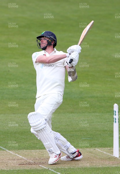 140417 - Glamorgan v Worcestershire - Specsavers County Championship Division Two - Michael Hogan of Glamorgan batting