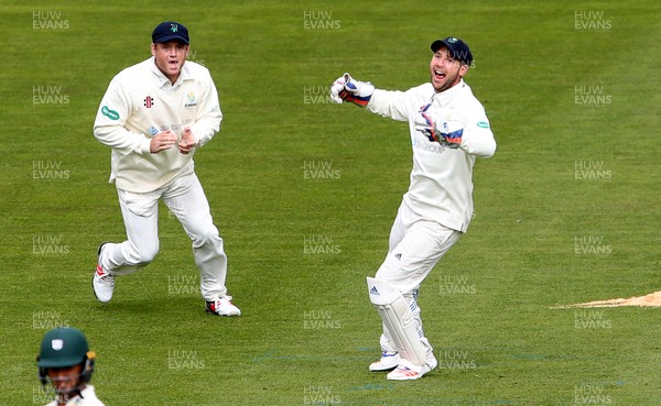 140417 - Glamorgan v Worcestershire - Specsavers County Championship Division Two - Chris Cooke of Glamorgan celebrates catching Brett D'Oliveira of Worcestershire off the bowling of Michael Hogan