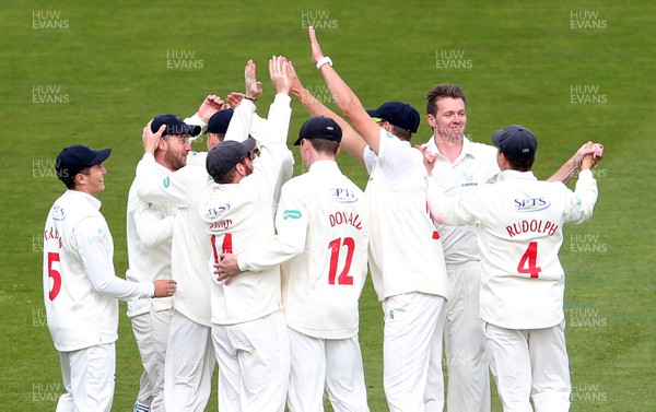 140417 - Glamorgan v Worcestershire - Specsavers County Championship Division Two - Chris Cooke of Glamorgan celebrates with team mates catching Brett D'Oliveira of Worcestershire off the bowling of Michael Hogan