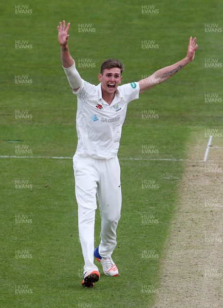 150417 - Glamorgan v Worcestershire - Specsavers County Championship Division Two - Harry Podmore of Glamorgan appeals a wicket