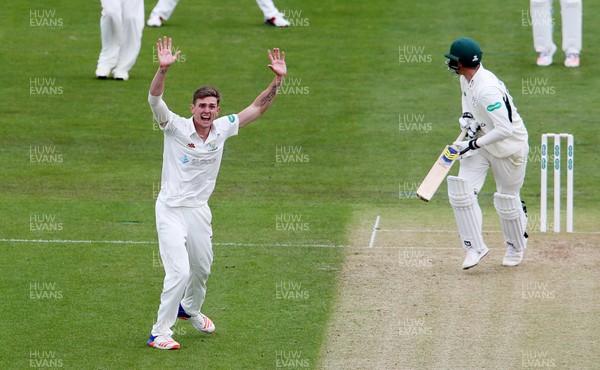 150417 - Glamorgan v Worcestershire - Specsavers County Championship Division Two - Harry Podmore of Glamorgan appeals a wicket