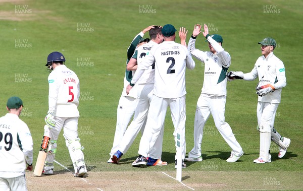 160417 - Glamorgan v Worcestershire - Specsavers County Championship Division Two - Josh Tongue of Worcestershire celebrates after Kiran Carlson is caught by Ben Cox