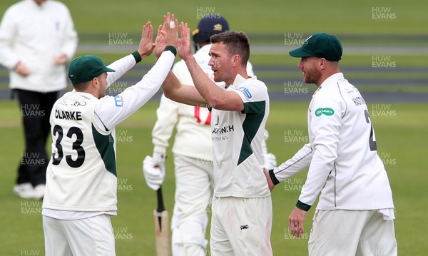 160417 - Glamorgan v Worcestershire - Specsavers County Championship Division Two - Jack Shantry of Worcestershire celebrates after Lukas Carey is caught by Ben Cox