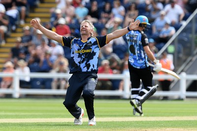 050726 - Glamorgan v Worcestershire Rapids - Vitality Blast Men - Timm Van Der Gugten of Glamorgan bowls the ball to dismiss Kashif Ali of Worcestershire and celebrates