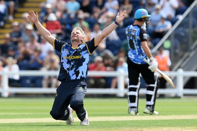 050726 - Glamorgan v Worcestershire Rapids - Vitality Blast Men - Timm Van Der Gugten of Glamorgan bowls the ball to dismiss Kashif Ali of Worcestershire and celebrates
