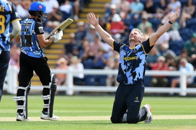 050726 - Glamorgan v Worcestershire Rapids - Vitality Blast Men - Timm Van Der Gugten of Glamorgan bowls the ball to dismiss Kashif Ali of Worcestershire and celebrates