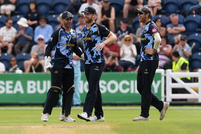 050726 - Glamorgan v Worcestershire Rapids - Vitality Blast Men - Jimmy Neesham of Glamorgan catches the ball to dismiss Matthew Waite of Worcestershire 