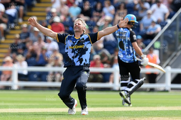 050726 - Glamorgan v Worcestershire Rapids - Vitality Blast Men - Timm Van Der Gugten of Glamorgan bowls the ball to dismiss Kashif Ali of Worcestershire and celebrates