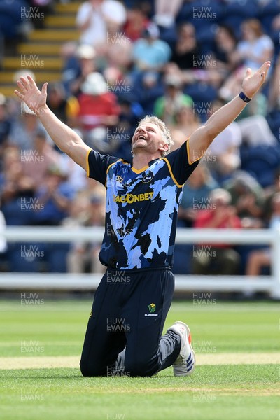 050726 - Glamorgan v Worcestershire Rapids - Vitality Blast Men - Timm Van Der Gugten of Glamorgan bowls the ball to dismiss Kashif Ali of Worcestershire and celebrates