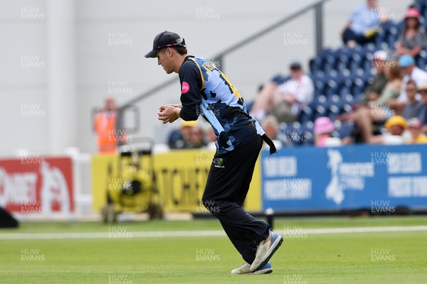 050726 - Glamorgan v Worcestershire Rapids - Vitality Blast Men - Ben Kellaway of Glamorgan catches the ball to dismiss Beyers Swanepoel of Worcestershire