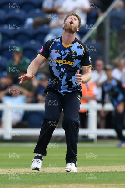 050726 - Glamorgan v Worcestershire Rapids - Vitality Blast Men - Jimmy Neesham of Glamorgan reacts
