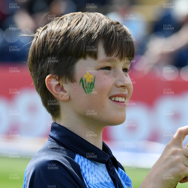 050726 - Glamorgan v Worcestershire Rapids - Vitality Blast Men - Fans