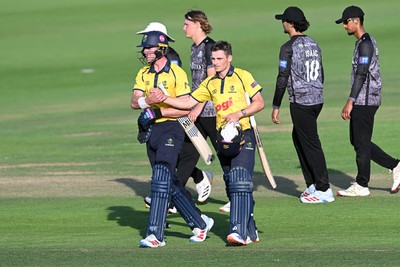 090826 - Glamorgan v Worcestershire Rapids - Metro Bank One Day Cup Men - Andy Gorvin of Glamorgan celebrates with Romano Franco of Glamorgan after winning the match on the final ball