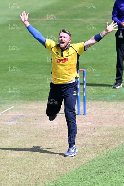 090826 - Glamorgan v Worcestershire Rapids - Metro Bank One Day Cup Men - Dan Douthwaite of Glamorgan appeals for the wicket