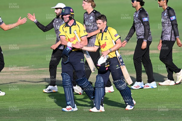 090826 - Glamorgan v Worcestershire Rapids - Metro Bank One Day Cup Men - Andy Gorvin of Glamorgan celebrates with Romano Franco of Glamorgan after winning the match on the final ball
