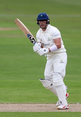 030426 - Glamorgan v Yorkshire - Rothesay County Championship Division One - Asa Tribe of Glamorgan batting