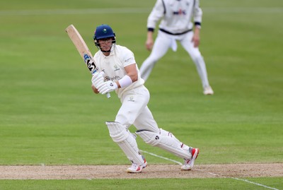 030426 - Glamorgan v Yorkshire - Rothesay County Championship Division One - Asa Tribe of Glamorgan batting