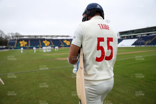 030426 - Glamorgan v Yorkshire - Rothesay County Championship Division One - Asa Tribe