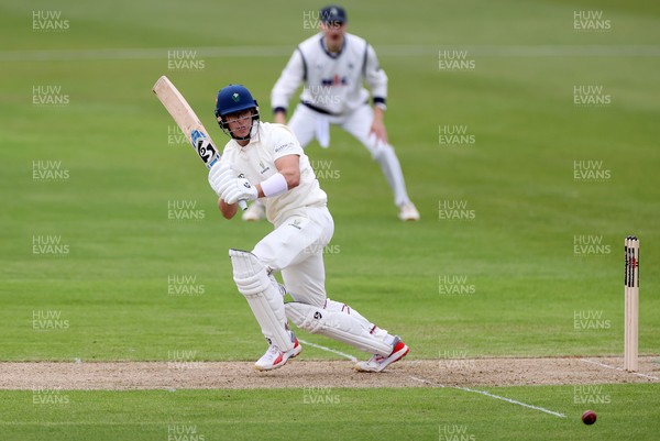 030426 - Glamorgan v Yorkshire - Rothesay County Championship Division One - Asa Tribe of Glamorgan batting