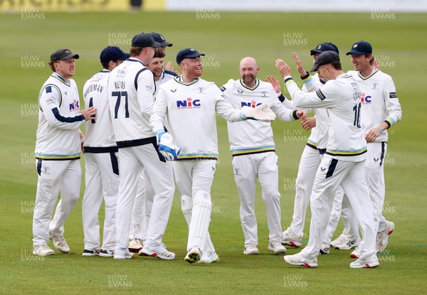 030426 - Glamorgan v Yorkshire - Rothesay County Championship Division One - Jonny Bairstow of Yorkshire celebrates catches the ball to dismiss Season Dickson of Glamorgan