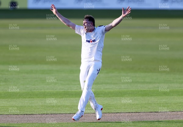 030426 - Glamorgan v Yorkshire - Rothesay County Championship Division One - Matthew Revis of Yorkshire appeals for a wicket