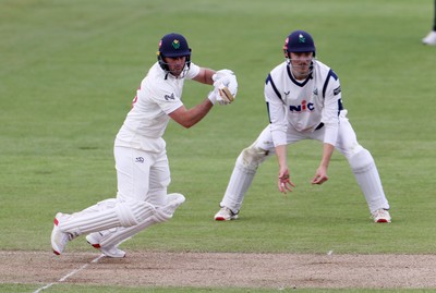 040426 - Glamorgan v Yorkshire - Rothesay County Championship Division One - Chris Cooke of Glamorgan batting
