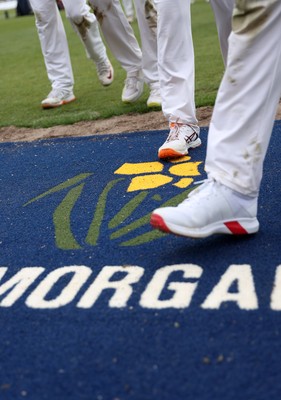 040426 - Glamorgan v Yorkshire - Rothesay County Championship Division One - Glamorgan logo