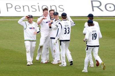040426 - Glamorgan v Yorkshire - Rothesay County Championship Division One - Matthew Revis of Yorkshire celebrates taking the wicket of Chris Cooke