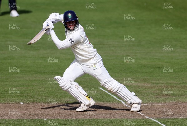 040426 - Glamorgan v Yorkshire - Rothesay County Championship Division One - Colin Ingram of Glamorgan batting