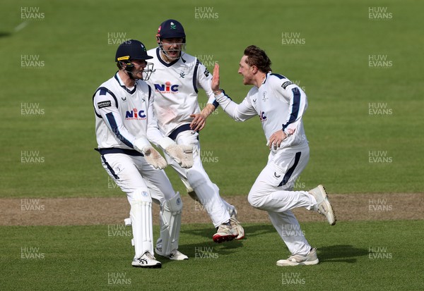 040426 - Glamorgan v Yorkshire - Rothesay County Championship Division One - Dom Bess of Yorkshire celebrates taking the wicket of Ben Kellaway