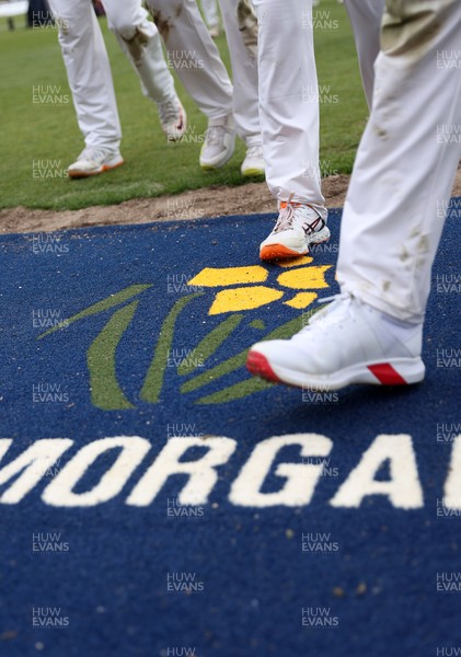 040426 - Glamorgan v Yorkshire - Rothesay County Championship Division One - Glamorgan logo