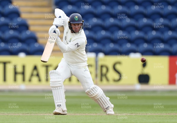 040426 - Glamorgan v Yorkshire - Rothesay County Championship Division One - Colin Ingram of Glamorgan batting