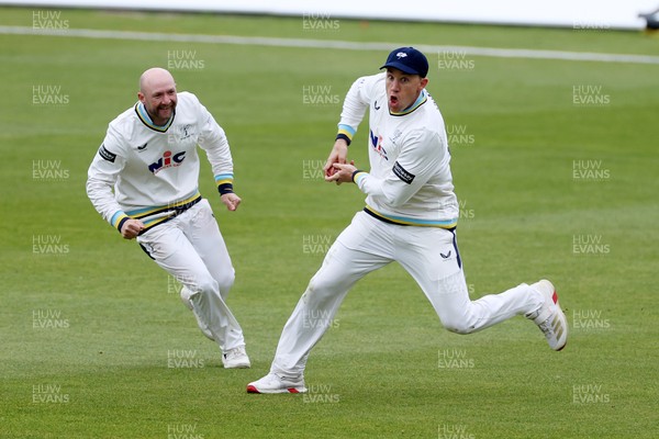 040426 - Glamorgan v Yorkshire - Rothesay County Championship Division One - Logan van Beek of Yorkshire celebrates catching the ball to dismiss Andy Gorvin