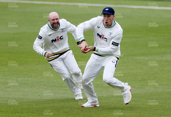 040426 - Glamorgan v Yorkshire - Rothesay County Championship Division One - Logan van Beek of Yorkshire celebrates catching the ball to dismiss Andy Gorvin