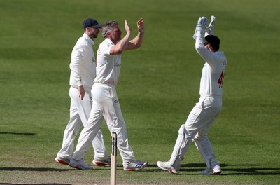 050426 - Glamorgan v Yorkshire - Rothesay County Championship Division One - Timm Van Der Gugten of Glamorgan celebrates taking the wicket of Dom Bess