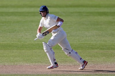 050426 - Glamorgan v Yorkshire - Rothesay County Championship Division One - Asa Tribe of Glamorgan batting