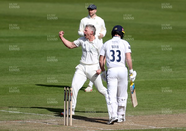 050426 - Glamorgan v Yorkshire - Rothesay County Championship Division One - Timm Van Der Gugten of Glamorgan celebrates taking the wicket of Finlay Bean caught by Chris Cooke