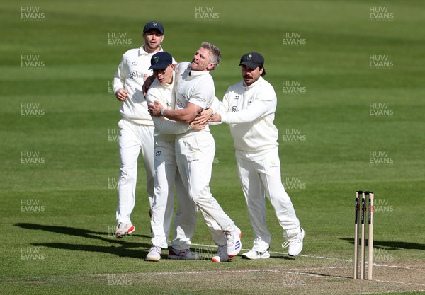 050426 - Glamorgan v Yorkshire - Rothesay County Championship Division One - Timm Van Der Gugten of Glamorgan celebrates taking the wicket of Finlay Bean caught by Chris Cooke