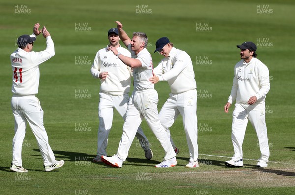 050426 - Glamorgan v Yorkshire - Rothesay County Championship Division One - Timm Van Der Gugten of Glamorgan celebrates taking the wicket of Finlay Bean caught by Chris Cooke