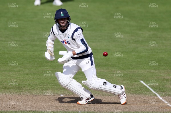 050426 - Glamorgan v Yorkshire - Rothesay County Championship Division One - Sam Whiteman of Yorkshire batting