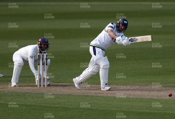050426 - Glamorgan v Yorkshire - Rothesay County Championship Division One - Adam Lyth of Yorkshire batting