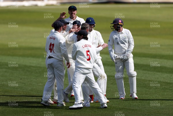 050426 - Glamorgan v Yorkshire - Rothesay County Championship Division One - Mason Crane of Glamorgan celebrates taking the wicket of James Wharton for LBW