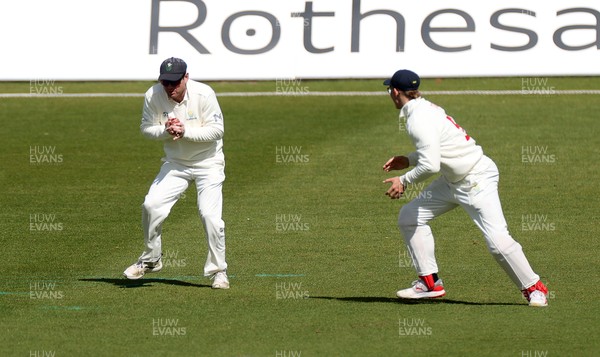 050426 - Glamorgan v Yorkshire - Rothesay County Championship Division One - Colin Ingram of Glamorgan catches the ball to dismiss Adam Lyth of Yorkshire