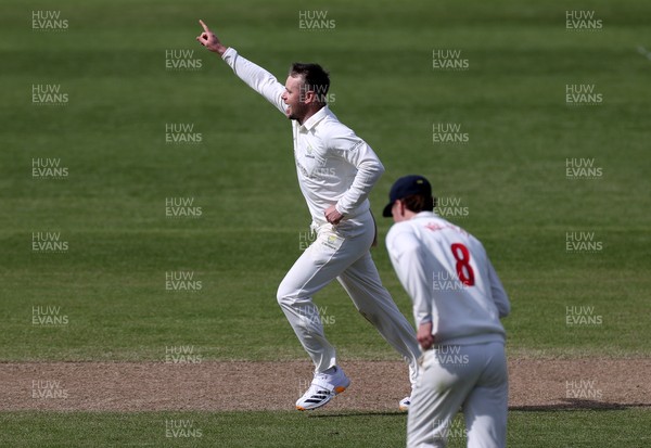 050426 - Glamorgan v Yorkshire - Rothesay County Championship Division One - Mason Crane of Glamorgan celebrates taking the wicket of George Hill of Yorkshire